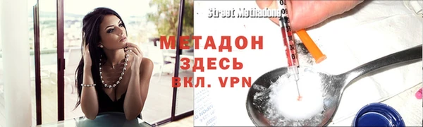 прущие грибы Белоозёрский