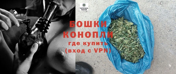 бошки Бронницы
