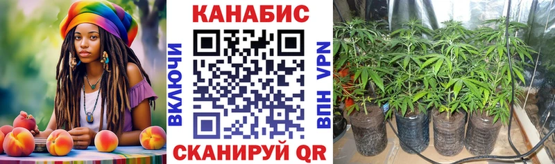 где можно купить наркотик  Барыш  МАРИХУАНА семена 